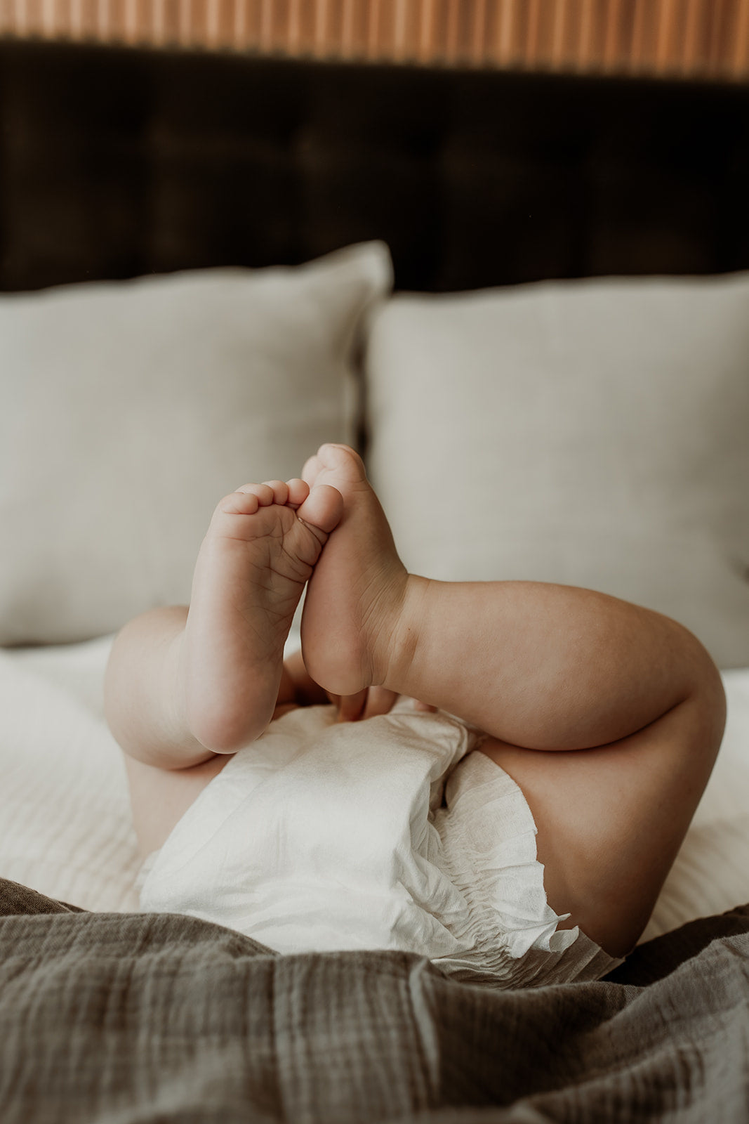 The Newborn 4-7 kg, 216 st/månad